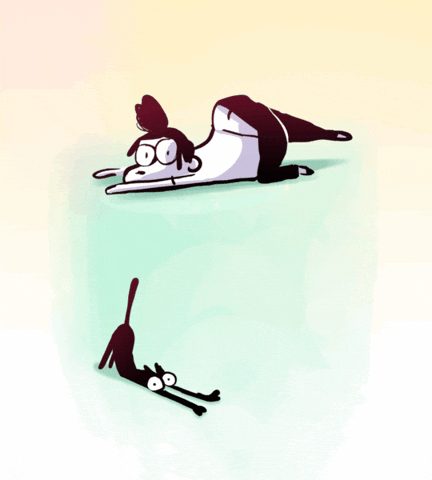 vivement-lundi giphyupload anime cat animation GIF