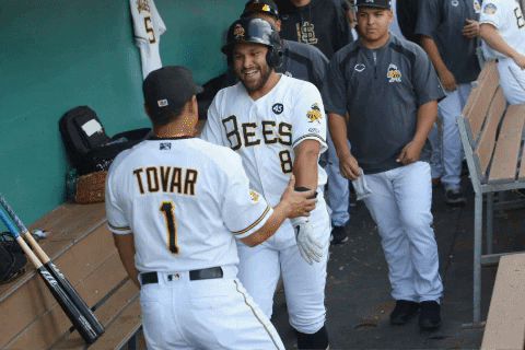 SaltLakeBees giphygifmaker team hug family GIF