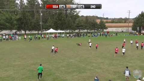 flikulti ultimate frisbee flik GIF