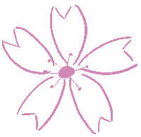 Cherry Blossom Sakura Sticker by 千休