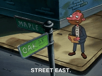 hey arnold nicksplat GIF