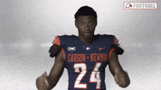 Cnfb GIF by Carson-Newman Athletics