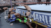 wrestlemania xxiv wrestling GIF by WWE