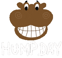 Wednesday Morning Sticker