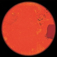 GIF by Blossöm Records