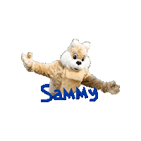 MecklenburgCommunityChurch mascot children squirrel ministry Sticker