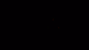GIF by Adult Swim