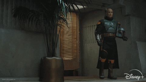 Star Wars Fight GIF by Disney+