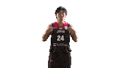 World Cup Game Sticker by FIBA