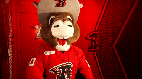 Money Hockey GIF by Rapid City Rush