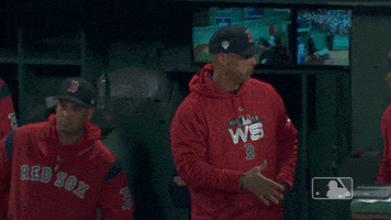 alex win GIF by MLB