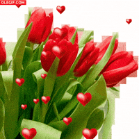 da GIF