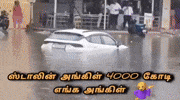 Flood Dmk GIF