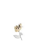 Vintage Flowers GIF