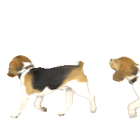 Happy Dog Sticker by Pets Deli