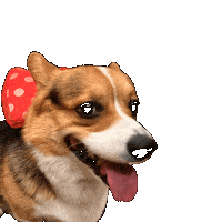 Dog Click Sticker