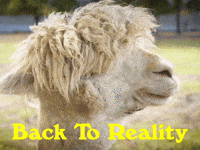 Youre Back Good Morning GIF by Sealed With A GIF