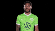 New One Reaction GIF by VfL Wolfsburg