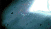 pokemon x and y GIF