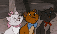 The Aristocats Cat GIF by Disney