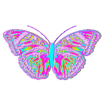 Color Fly Sticker