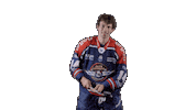Ducs Dangers Hockey Sticker by Les Ducs d'Angers