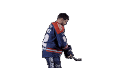 Ducs Dangers Hockey Sticker by Les Ducs d'Angers