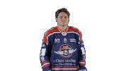 Ducs Dangers Hockey Sticker by Les Ducs d'Angers