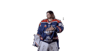 Ducs Dangers Hockey Sticker by Les Ducs d'Angers