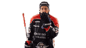 Celebration Kiss Sticker by Les Ducs d'Angers