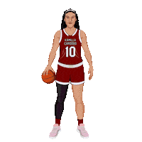 South Carolina Gamecocks Basketball Sticker by Panini America