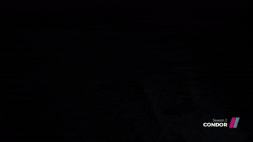 Condor GIF by Showmax