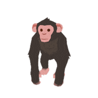 Chimpanzee Forester Sticker
