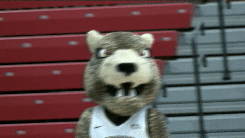 LafayetteLeopards giphyupload clapping leopard lafayette GIF