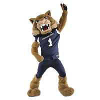 Montana State Bobcats Champ Sticker by Montana State University