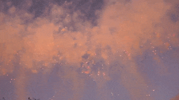fireworks desperta GIF by For 91 Days