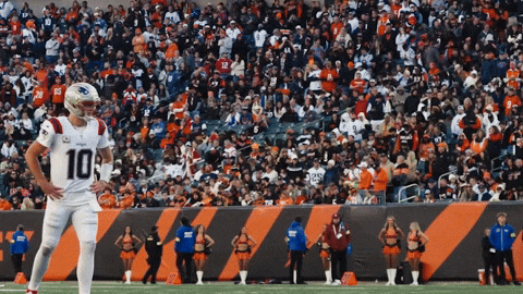Football Nfl GIF by New England Patriots