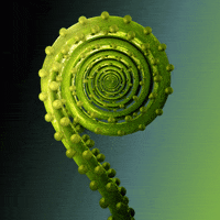 Loop Nft GIF by xponentialdesign