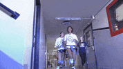 NevadaWolfPack college ncaa volleyball athletics GIF