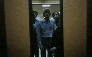 dawn of the dead zombie GIF