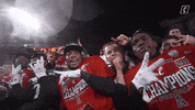Celebrate College Football GIF by Cincinnati Bearcats