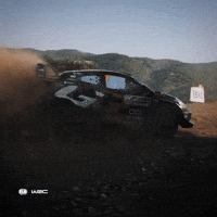 Sport Driving GIF by FIA World Rally Championship