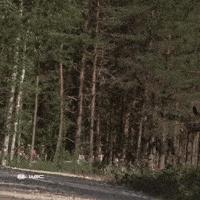 Speed Toyota GIF by FIA World Rally Championship