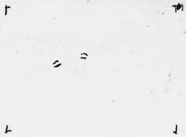 rotoscoping joy division GIF by TraceLoops