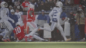 Football Nfl GIF by New England Patriots