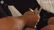 Huntedau GIF by Hunted Australia