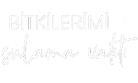 Sümktn Ev Sticker
