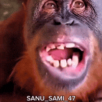 My Friend Trending GIF
