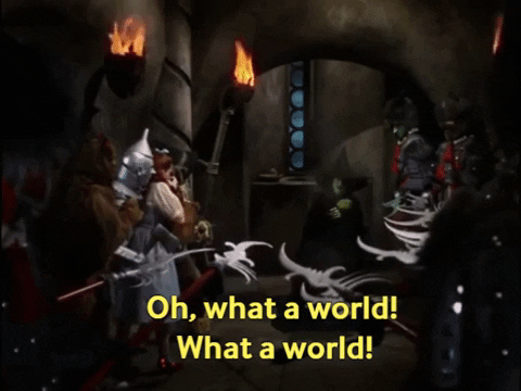 maddieirene giphygifmaker witch melting wizardofoz GIF