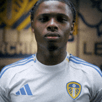 Premier League Belgium GIF by Leeds United